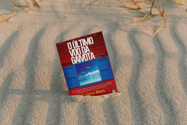 O último voo da gaivota da cidade do sal - Image 3
