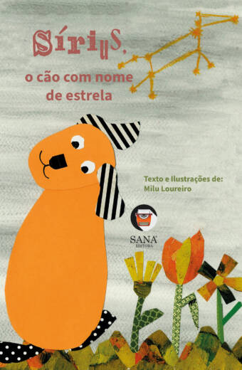 Sírius, o cão com nome de estrela